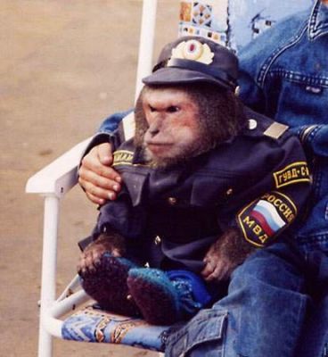 Смешная обезьяна в костюме милиционера