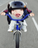 Поросёнок на велосипеде (анимация)