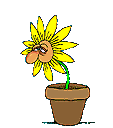 Чихающий цветок (анимация)